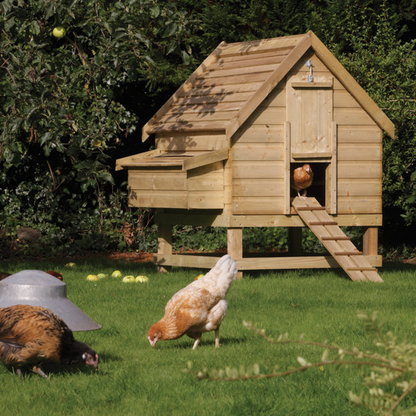 Rowlinson Large Chicken Coop Wayfair.co.uk